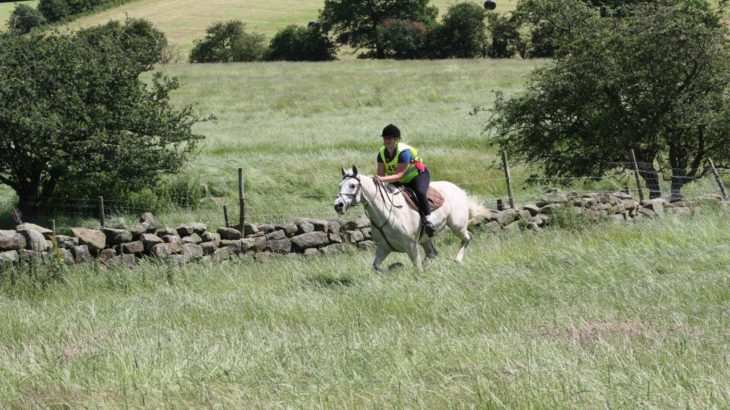 Cantering through field