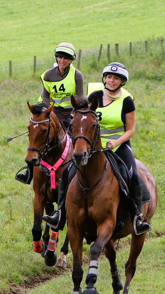 Horse riders in field