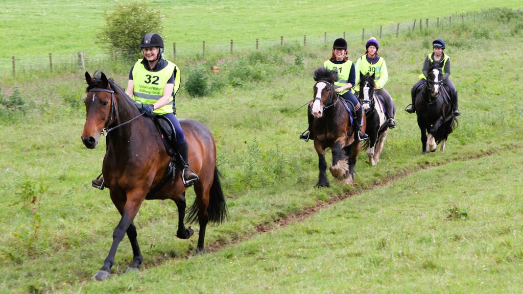 Horse riders in field