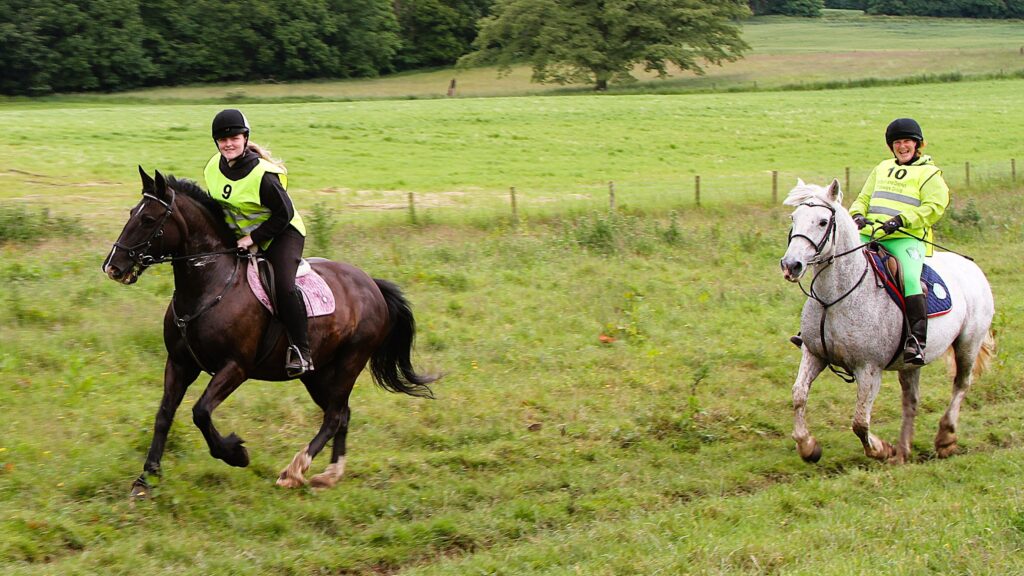 Horse riders in field