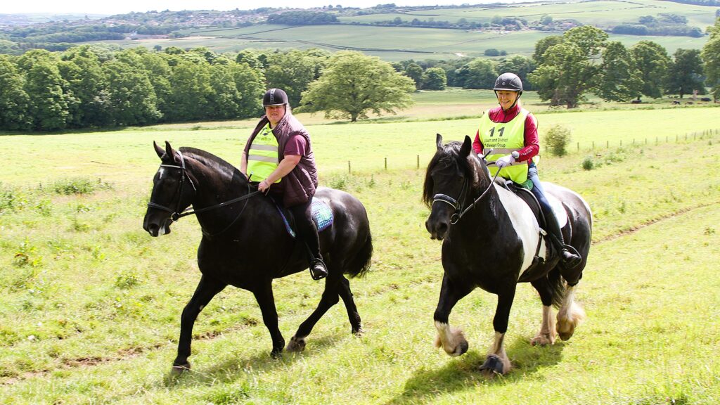 Horse riders in field