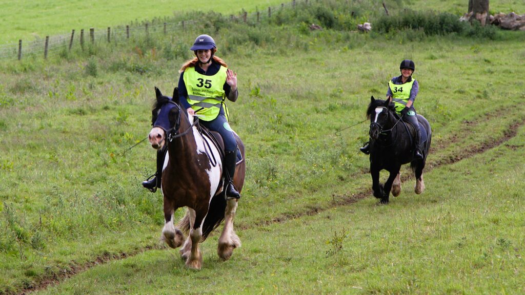 Horse riders in field